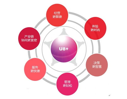 探究用友U8財務管理軟件價格與廣告代理業(yè)務